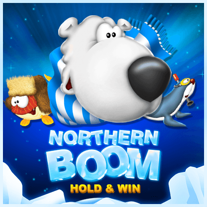Northern Boom game thumbnail