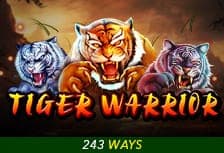 Tiger Warrior game thumbnail