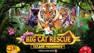 Big Cat Rescue Megaways game thumbnail