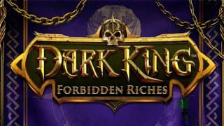 Dark King: Forbidden Riches game thumbnail
