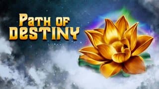 Path of Destiny game thumbnail