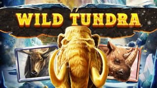 Wild Tundra game thumbnail