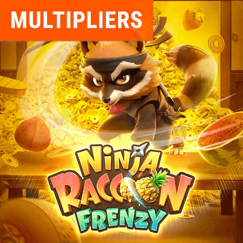 Ninja Racoon Frenzy game thumbnail